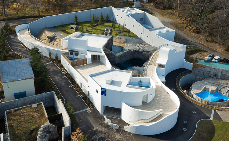 札幌市円山動物園「ホッキョクグマ・アザラシ館」新築工事